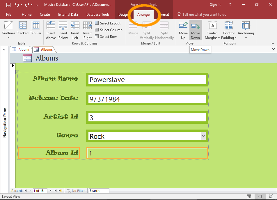 Exploring the Magic of Forms in MS Access 2016