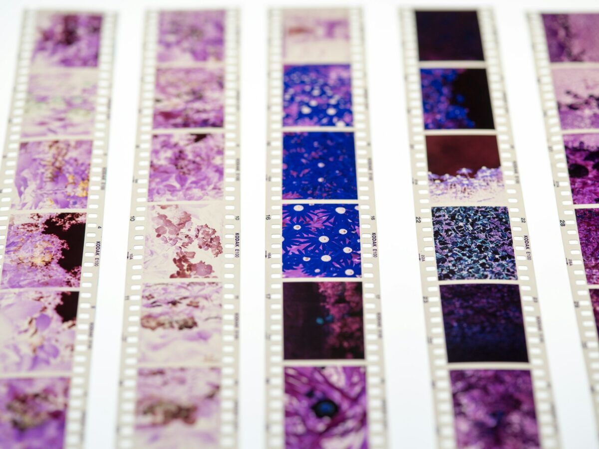 Cleaning Up Scanned 35mm Film Negatives in Photoshop: A Guide to Removing Dust and Scratches.